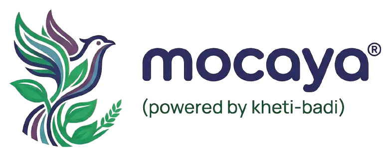 Mocaya Logo